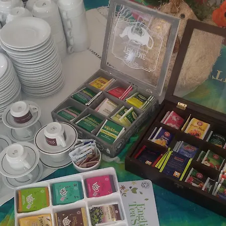 Hotel Venus Riccione